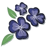 Résidence Les Trois Violettes Icone